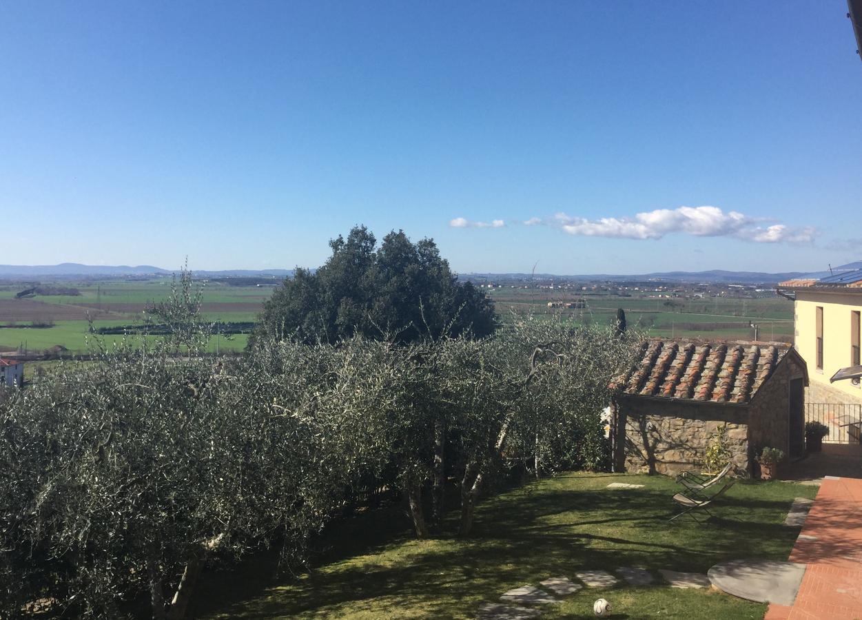 Agriturismo Borgo Tra Gli Olivi Castiglion Fiorentino Exterior foto